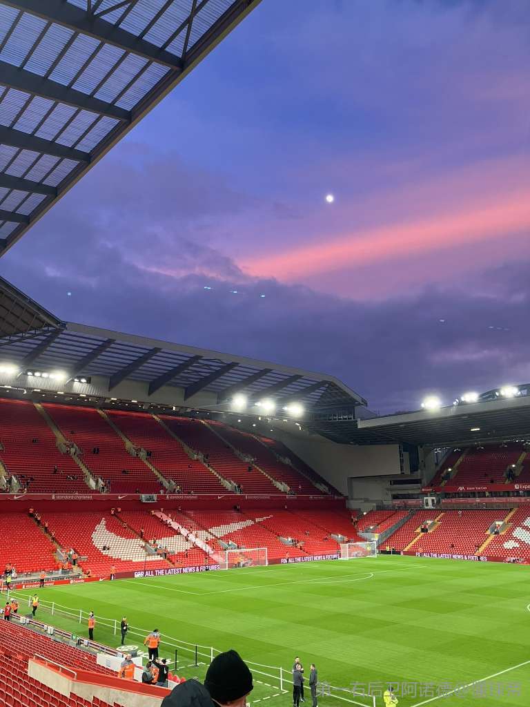 维蒂克因伤 维蒂克因伤